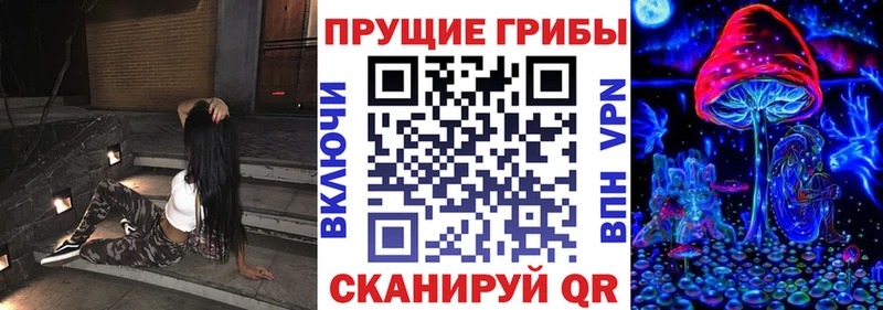Купить закладки  Кириши  Галлюциногенные грибы Psilocybe 