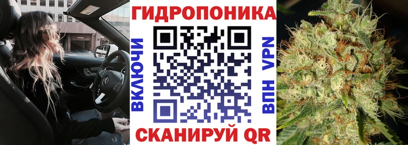 Бошки марихуана VHQ  Купить  Кириши 